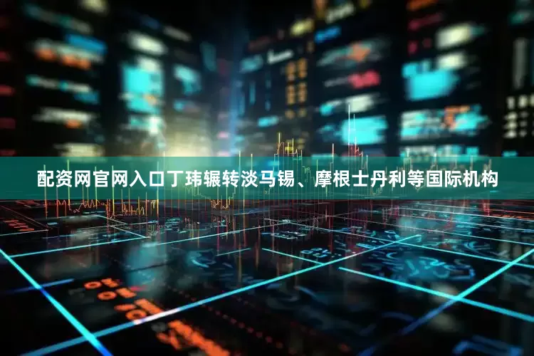 配资网官网入口丁玮辗转淡马锡、摩根士丹利等国际机构